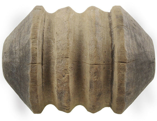 Authentic Tuareg Wooden Well Pulley – Small 13 cm × 10 cm