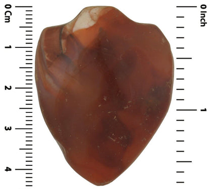 Large Antique Carnelian Agate Trade Bead Pendant – Cambay, 43 × 33 mm