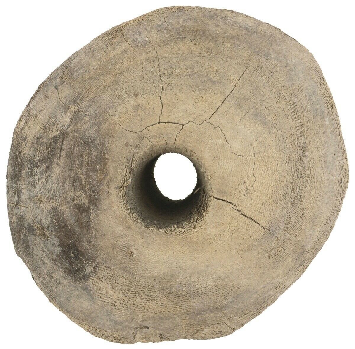 Tuareg Sahara Wooden Desert Water Well Pulley Authentic Niger Mali African Art - angled shot
